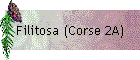 Filitosa (Corse 2A)